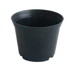 Vaso PP nº 10.5