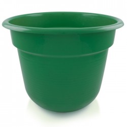 Vaso Sino 480