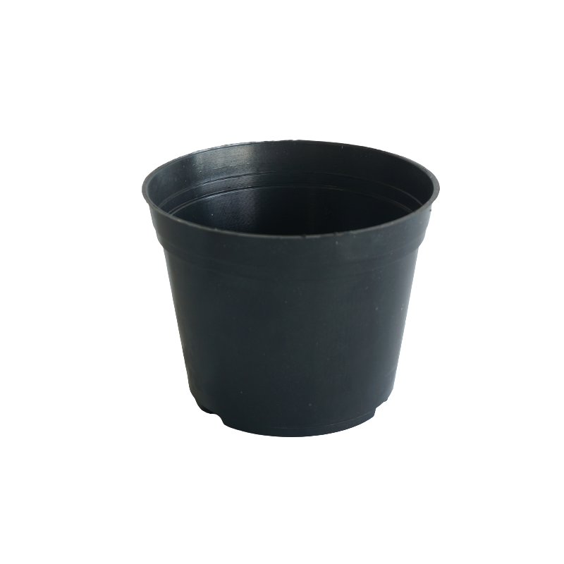 Vaso PP nº 13 B