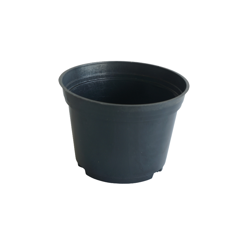 Vaso PP nº 14 B