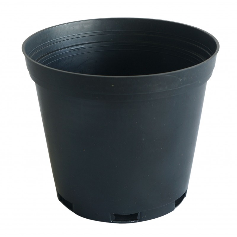 Vaso PP nº 17 B