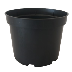 Vaso 19 cm