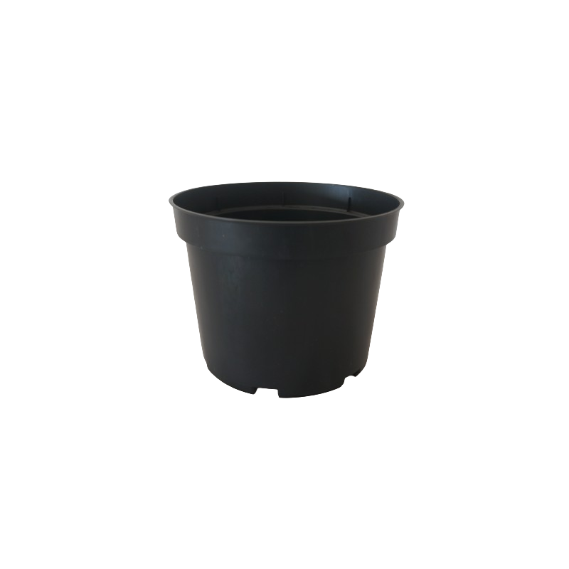 Maceta 23 cm
