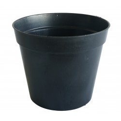 Vaso 5L